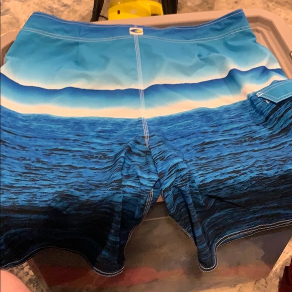 Swim Trunks - Picture 3 of 3